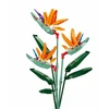 Konstruktorius Sluban gėlė Strelitzia Reginae Aiton, 269 det.
