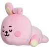 Line Friends BT21 - pliušinė pagalvėlė 28 cm COOKY Baby
