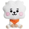 Line Friends BT21 - pliušinis talismanas 20 cm RJ BABY