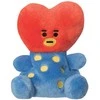 Line Friends BT21 - pliušinis talismanas 13 cm TATA Palm Pals