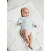 New Baby Naujas Baby Sweet Bear nėščiųjų rinkinys mėlynas, 62 (3-6m), 62 (3-6m) dydis