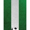 Other Brand „Nexgen Skins“ su 3D efektu, skirta „iPad 2/3/4“ (futbolo laukas 3D)