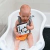 AKUKU edukacinė minkšta vonios knygelė, A0476