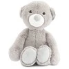 Pliušinis žaislas – meškiukas Baby Mix 20cm