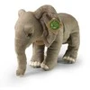 Rappa Eco-Friendly Pliušinis žaislas - afrikinis dramblys, 28 cm