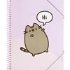 Pusheen - A4 A4 segtuvas su elastine juostele + 30 permatomų marškinių