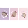 Pusheen – A5 formato užrašų knygelių rinkinys iš Moments kolekcijos (3 vnt.)