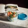 Quokka Bubble Food Jar - Plastikinė maisto talpa / priešpiečių dėžutė 770 ml (Mėlyna Bijūnai)