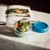 Quokka Bubble Food Jar - Plastikinė maisto talpa / priešpiečių dėžutė 500 ml (Mėlyna Peonies)