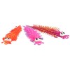 Rappa Centipede with big eyes