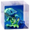 Rappa Dinosaurus 3D