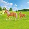 Rappa Horse set 2 pcs with fence