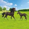 Rappa Arklių rinkinys 2 vnt. su tvora