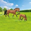 Rappa Horse set 2 pcs with fence