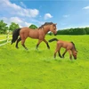 Rappa Horse set 2 pcs with fence