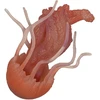 Dėlionė Rappa Med&uacute;za gumov&aacute; 10 cm