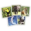 Rappa Pexeso ZOO in a box