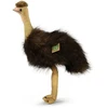 Rappa Plush emu 36 cm ECO-FRIENDLY