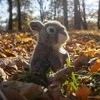 Rappa Pliušinis kiškis 20 cm EKOLOGIŠKAS