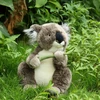 Rappa Plush koala 30 cm ECO-FRIENDLY