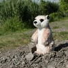 Rappa Pliušinis surikatas 14 cm EKOLOGIŠKAS