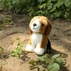 Rappa Eco-Friendly Pliušinis žaislas - biglis, 20 cm