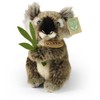 Pliušinis meškiukas Rappa, koala, 15 cm, ekologiškas