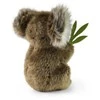 Pliušinis meškiukas Rappa, koala, 15 cm, ekologiškas