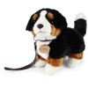 Rappa Pliušinis Bernese 22 cm EKOLOGIŠKAS