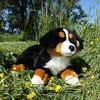 Rappa Eco-Friendly Pliušinis žaislas - Berno zenenhundas, 61 cm