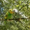 Rappa Plush budgies assort 13 cm ECO-FRIENDLY