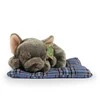 Rappa Eco-Friendly Pliušinis žaislas - buldogas, 23 cm