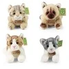 Dėlionė Rappa Plush cats assort 21 cm ECO-FRIENDLY
