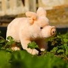 Rappa Pliušinis naminis paršelis 20 cm EKOLOGIŠKAS