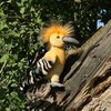 Rappa Plush Eurasian hoopoe 22 cm ECO-FRIENDLY