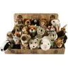 Rappa Plush forest animals display ECO-F.