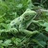 Rappa Eco-Friendly Pliušinis žaislas - varlė, 19 cm