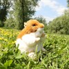 Rappa Eco-Friendly Pliušinis žaislas - žiurkėnas, 13 cm