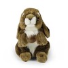 Rappa Eco-Friendly Pliušinis žaislas - triušis, 18 cm