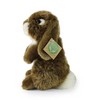 Rappa Eco-Friendly Pliušinis žaislas - triušis, 18 cm