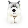 Rappa Pliušinis Husky 32 cm EKOLOGIŠKAS