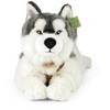 Rappa Pliušinis Husky 60 cm EKOLOGIŠKAS