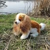 Rappa Pliušinis Karalius Karolis 28 cm EKOLOGIŠKAS