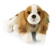 Rappa Eco-Friendly Pliušinis žaislas - Kavalieriaus karaliaus Karolio spanielis, 40 cm