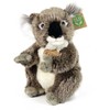 Rappa Pliušinis koalas 22 cm EKOLOGIŠKAS