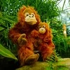 Pliušinis orangutangas su kūdikiu Rappa 28 cm ECO-F.