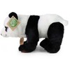 Rappa Pliušinė panda 22 cm EKOLOGIŠKA