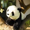 Rappa Eco-Friendly Pliušinis žaislas - panda, 23 cm