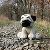 Rappa Pliušinis mopsas 30 cm EKOLOGIŠKAS