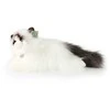 Pliušinis Rappa Ragdoll katinas 38 cm EKOLOGIŠKAS